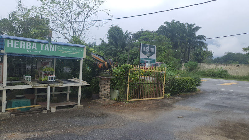 Herba Tani Nursery gallery