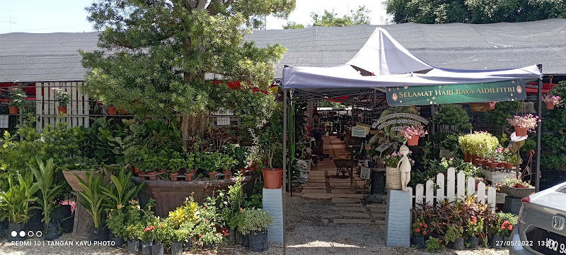 Tan Kok Leyong Nursery Sdn Bhd, 陈國樑樹種場有限公司 gallery