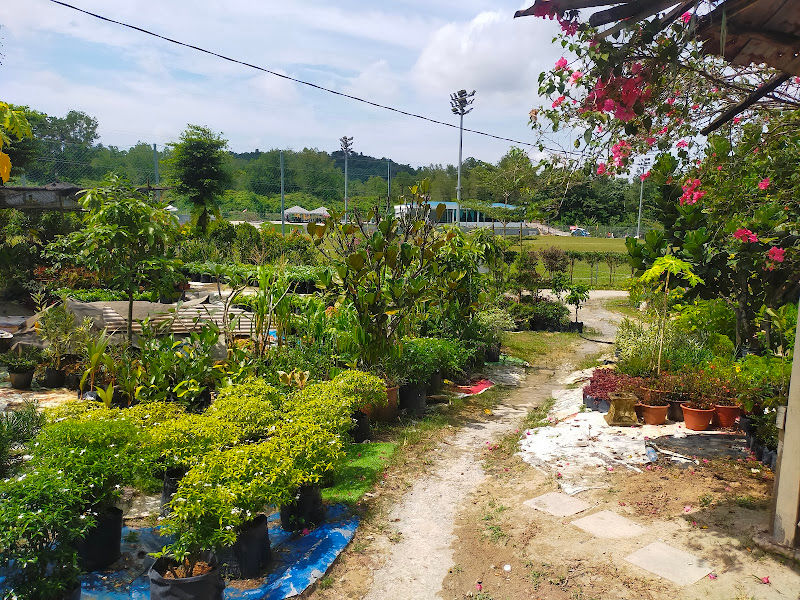 Hasibah Nursery gallery