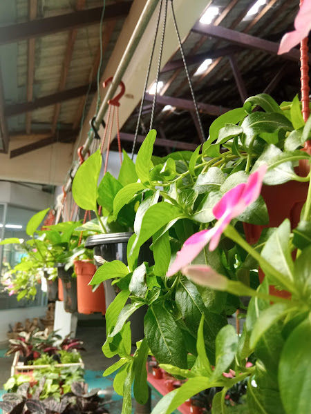 Nilai Landscape Sdn. Bhd. gallery