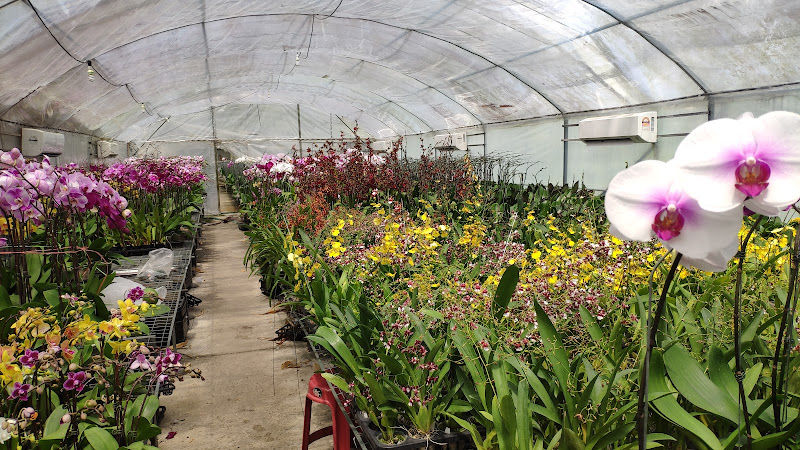 Seremban Orkid gallery