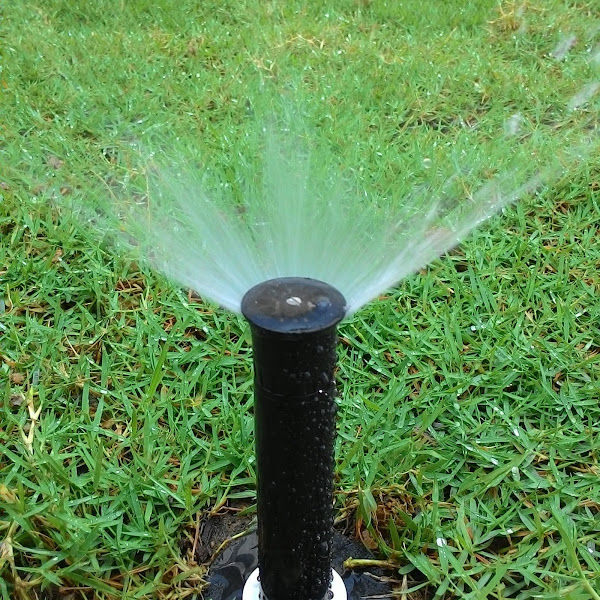 Automatic Watering Solutions gallery