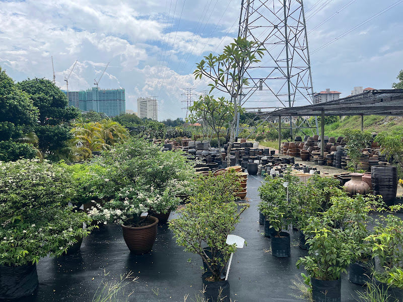 Glorious Nursery gallery