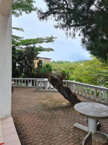 How Yee Landscape Builder gallery