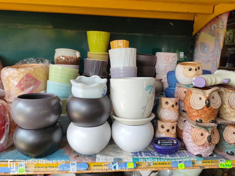 T&A Nursery & Landscape Trading gallery