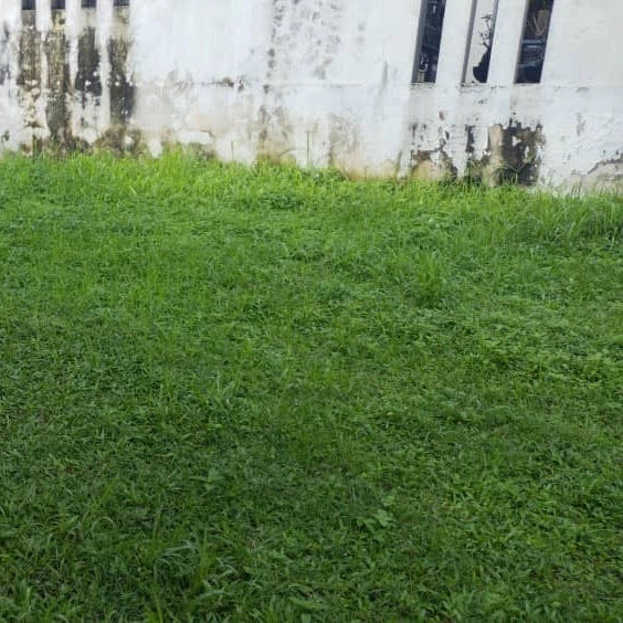 RK Green Enterprise gallery