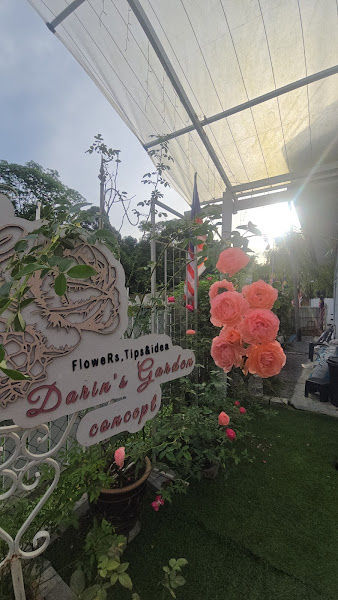 Darin's Garden and cafe Concept , for cafe we Open 8am to 1.30pm, for Garden 9am 5 pm gallery