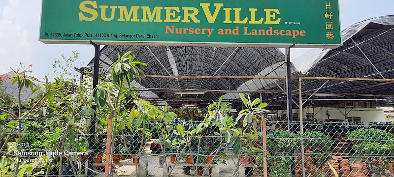 Summerville Nursery and Landscape（夏日轩园艺） gallery