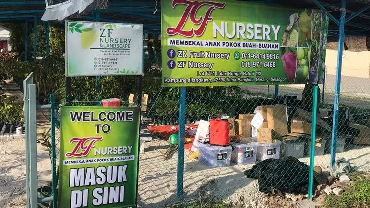 ZF NURSERY AND LANDSCAPE