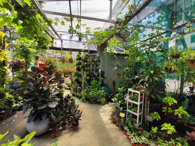 Ben Choo Nursery gallery