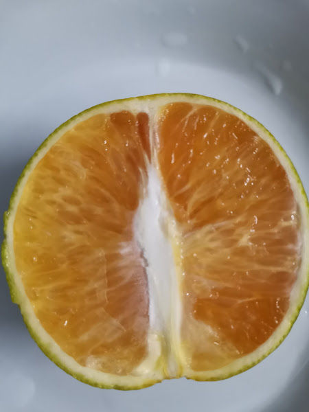 Citroplant Horticulture Enterprise gallery