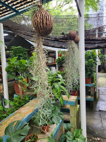 Damansara Nursery gallery