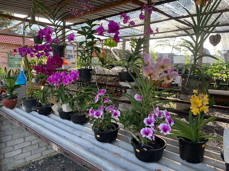 JR Eco Nursery gallery