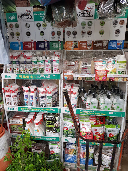 Fern & Fung Garden Trading gallery