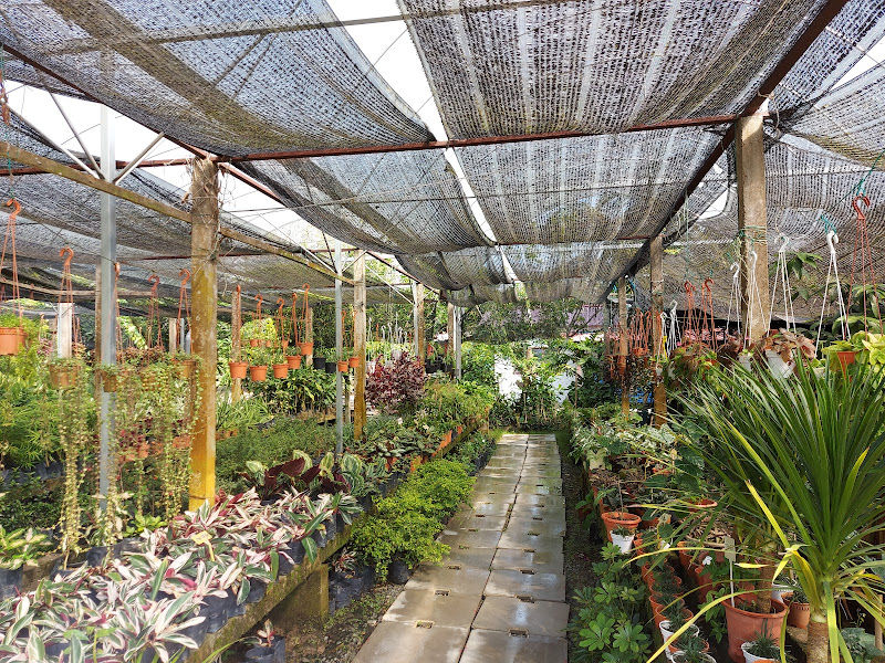 Mie Landscape and Nursery gallery