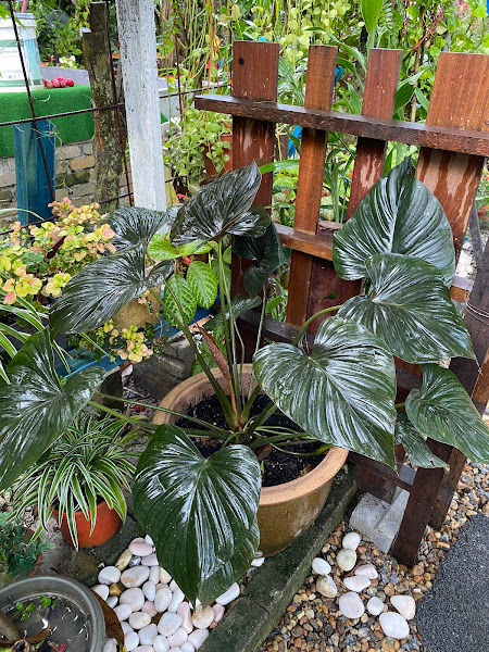 Rumah Kebun Cik Imah gallery