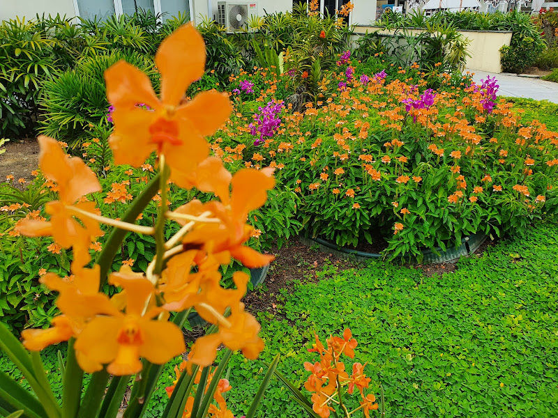 Pusat Interpretasi / Interpretation Centre Taman Botani Perdana gallery