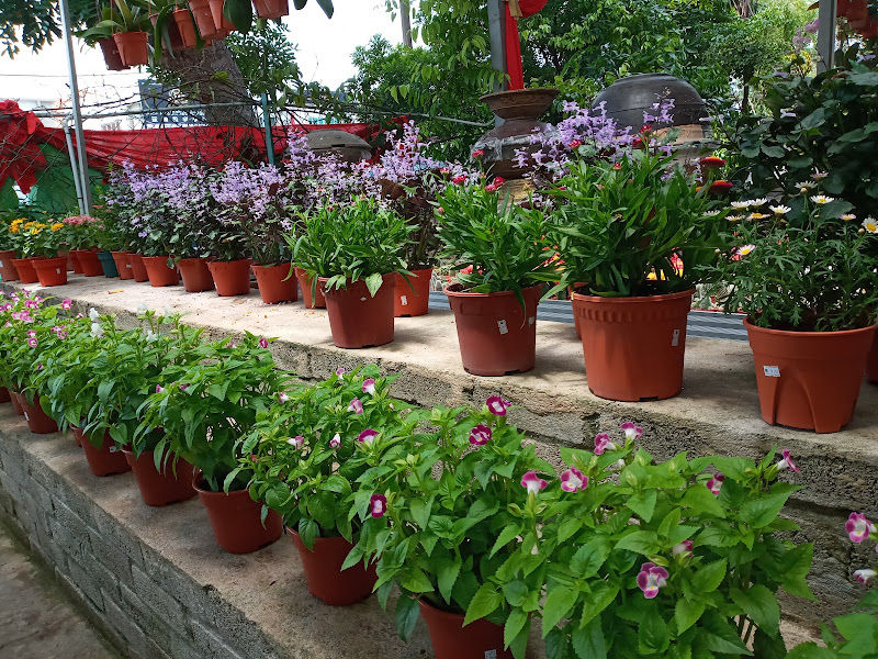 Seng Huat Nursery