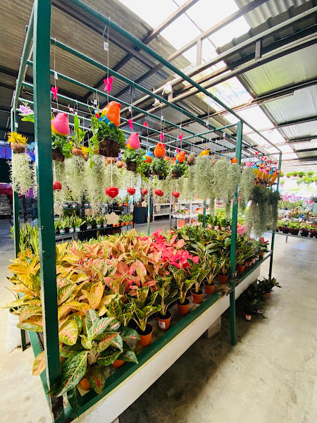 YY Landscaping Sdn Bhd (Shah Alam) gallery