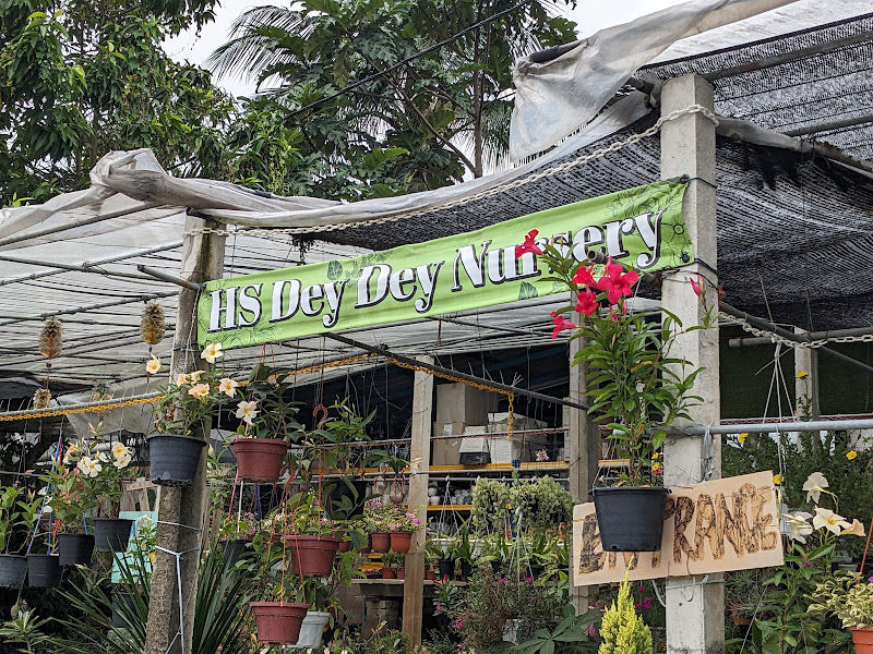 Hs Dey Dey Flower Garden gallery