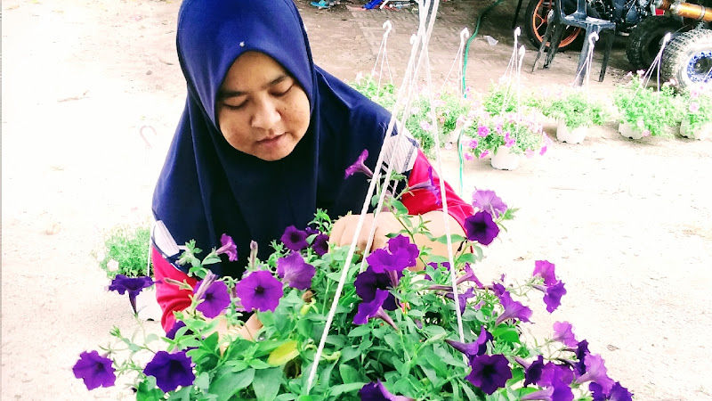 Ammara Garden gallery