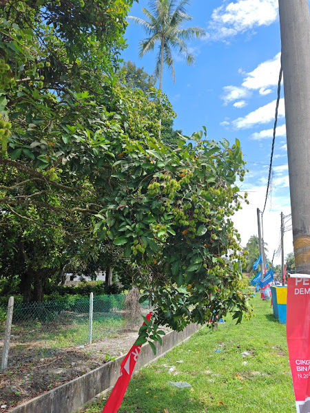 Flora Art Landscape Sdn Bhd - nursery gallery