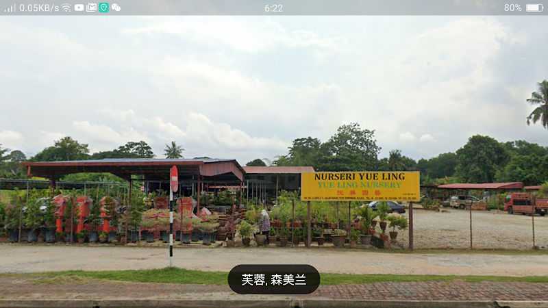 YUE LING NURSERY
