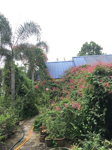 D' Lakeside Garden Centre gallery