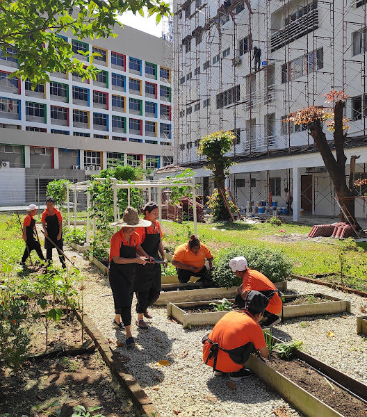 Sayur In The City @ YWCA KL gallery