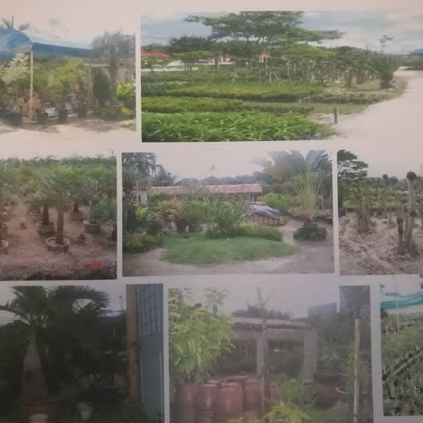 Ashqish Landscaping & Nursery gallery