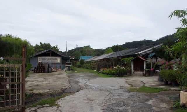 Sunny Pottery And Garden gallery