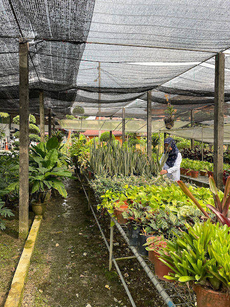 Kamal Landscape & Nursery