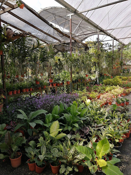 Sempadan Flora Ent gallery