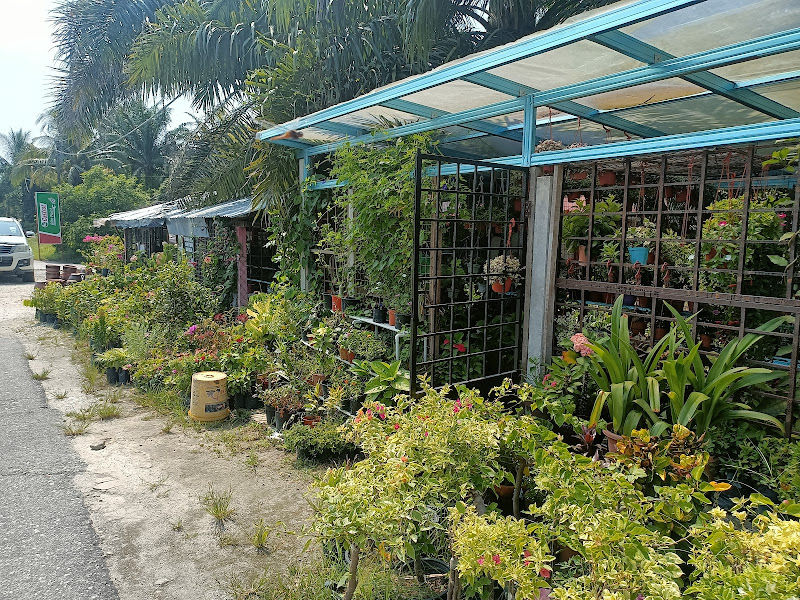 Zaleha Nursery gallery