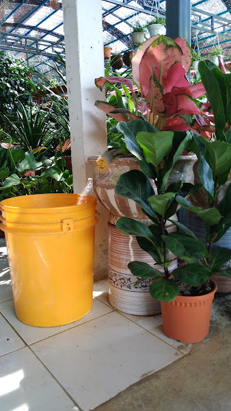 Nursery dan Pasu Tembikar Simpang Lima gallery