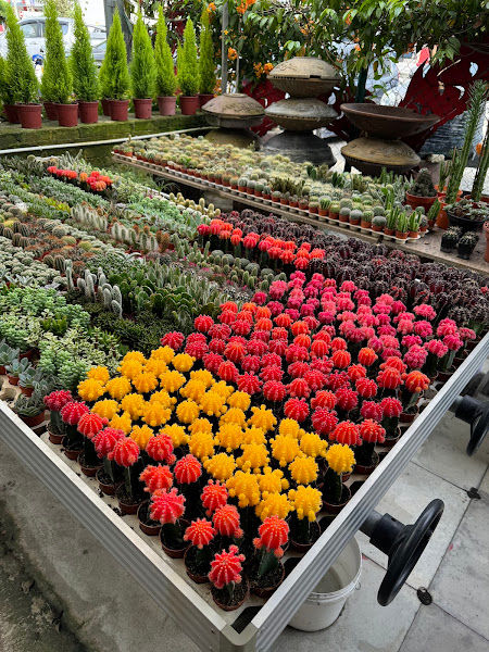 Seng Huat Nursery gallery