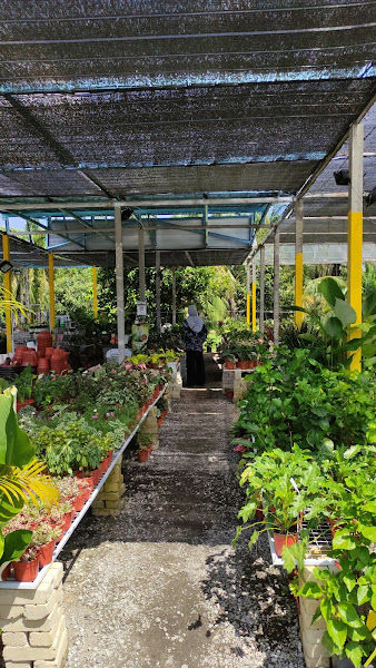 KF CERIA NURSERY (Hanna Garden) gallery