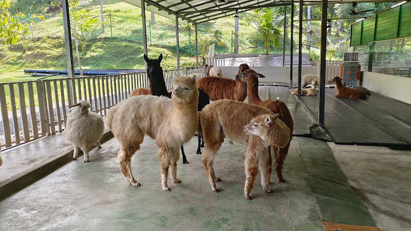 Zahara Garden gallery