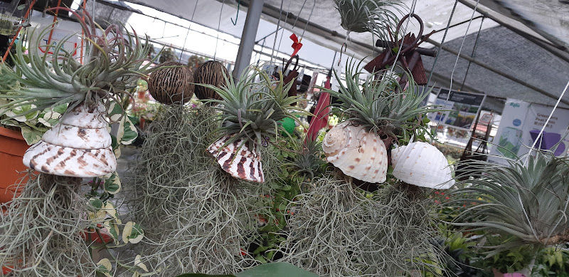 Prosperous Nursery gallery