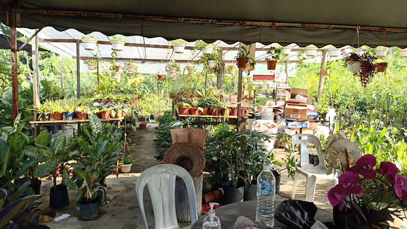 ma garden and landscape gallery