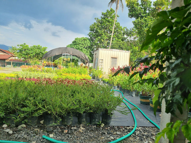 Fu Gui Nursery 富贵花圃 gallery