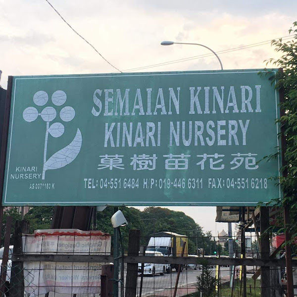 SEMAIAN KINARI gallery
