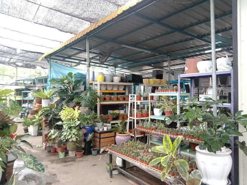 Bertam Nursery gallery