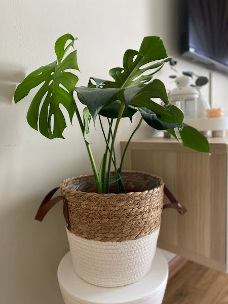 Nursery Kebun Hati gallery