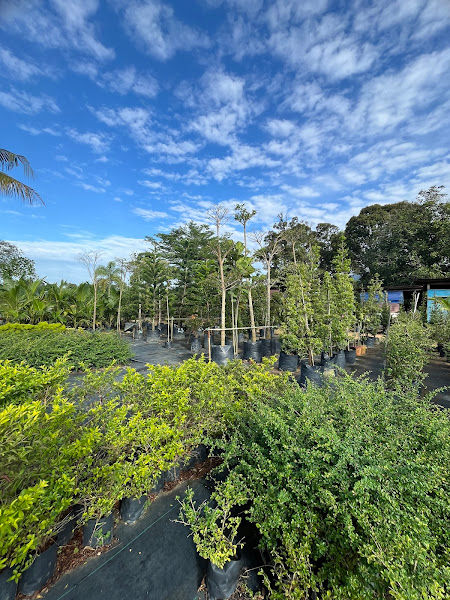 Laboo Landscapes (Nursery) gallery