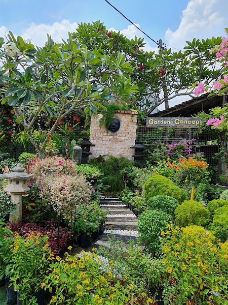 SunSet Garden Concept