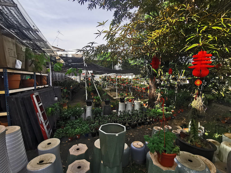 C&O Plants(Garden Plus Enterprise)