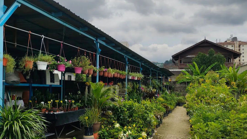 Rimbun Anggun Cawangan Kampung Pasir