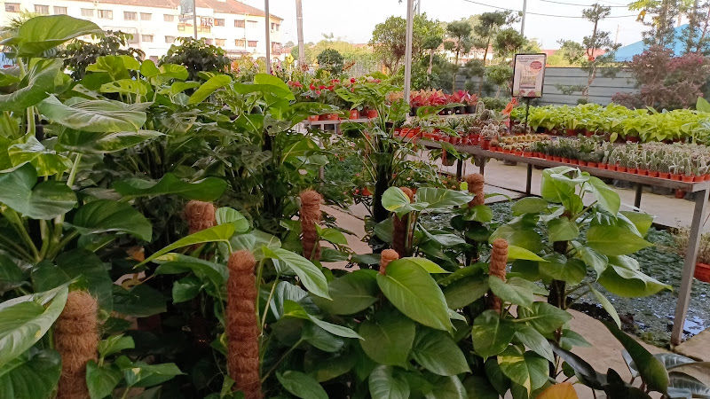 YY LANDSCAPING SDN BHD (KLANG) gallery