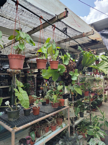 Fern & Fung Garden Trading gallery